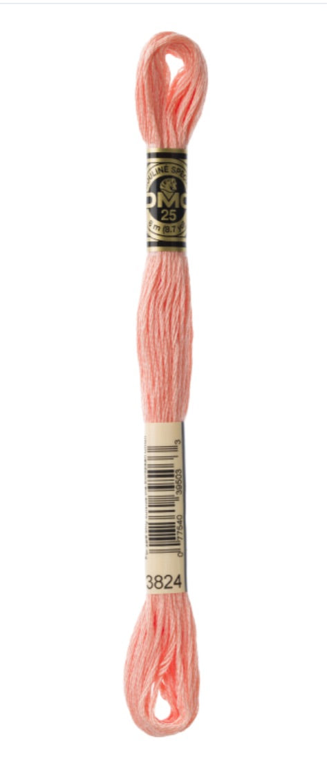 DMC-Six Strand Embroidery Floss-3824-8m/8.7y #3824