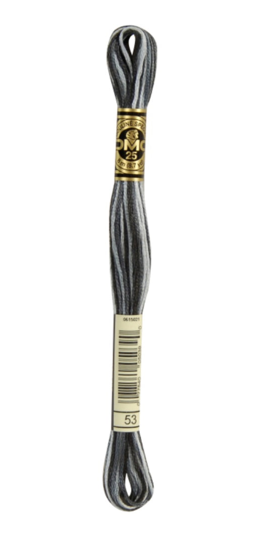 DMC-Six Strand Embroidery Floss-53-8m/8.7y #53