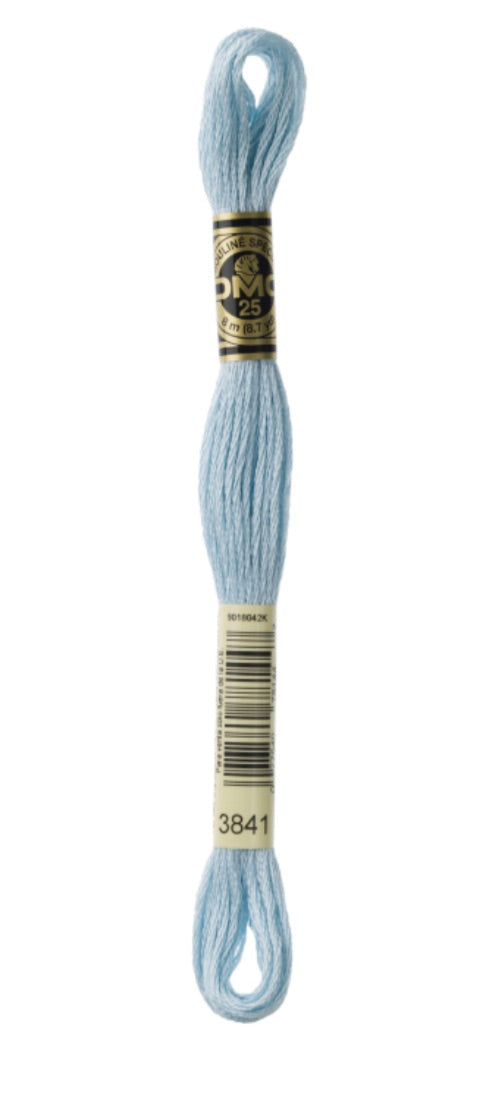 DMC-Six Strand Embroidery Floss-3841-8m/8.7y #3841