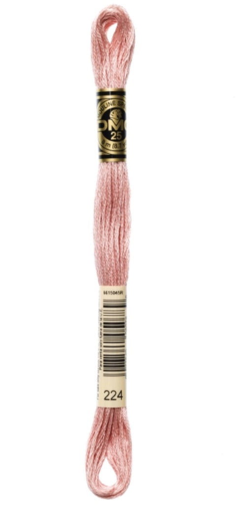 DMC-Six Strand Embroidery Floss-224-8m/8.7y