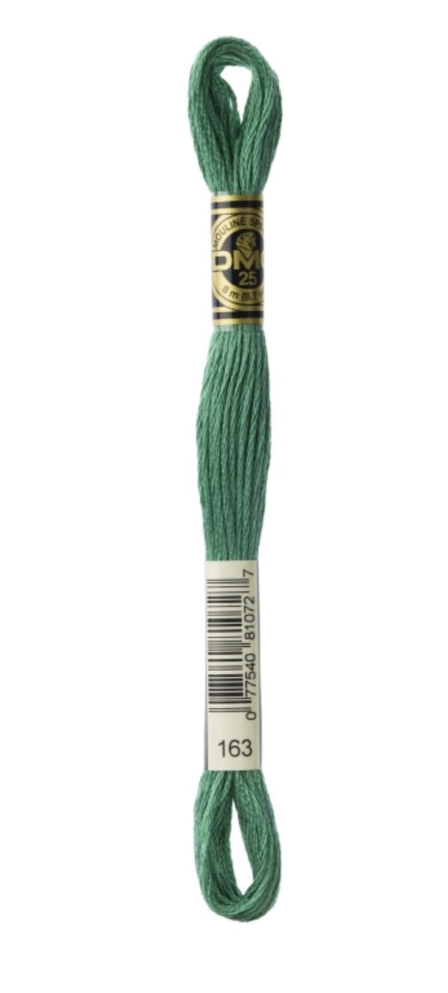 DMC-Six Strand Embroidery Floss-163-8m/8.7y