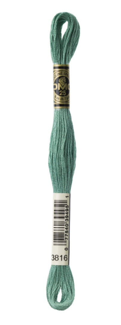 DMC-Six Strand Embroidery Floss-3816-8m/8.7y #3816