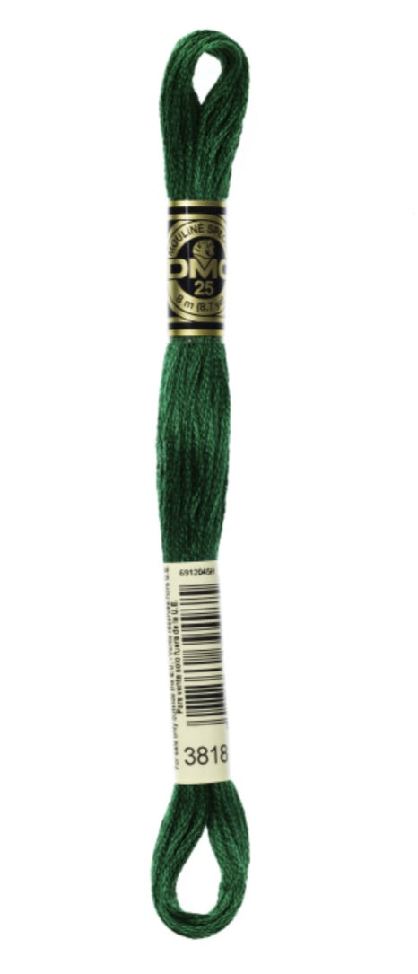 DMC-Six Strand Embroidery Floss-3818-8m/8.7y