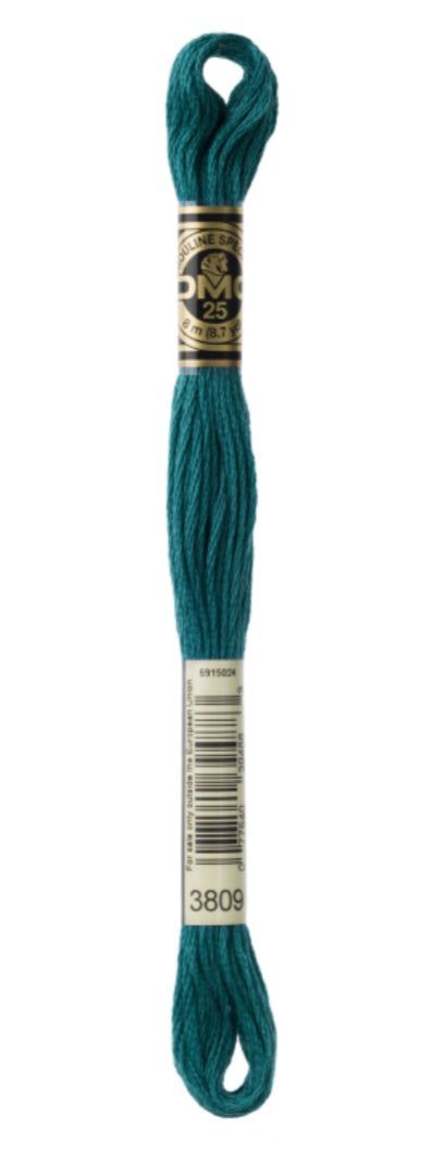 DMC-Six Strand Embroidery Floss-3809-8m/8.7y #3809