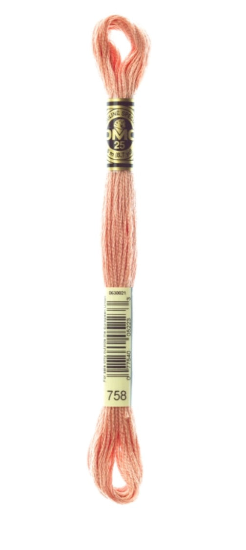 DMC-Six Strand Embroidery Floss-758-8m/8.7y #758