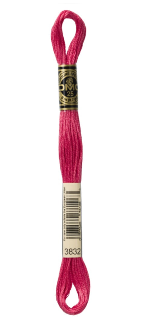 DMC-Six Strand Embroidery Floss-3832-8m/8.7y