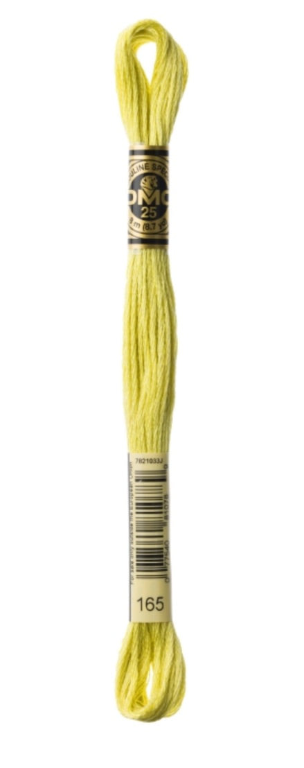 DMC-Six Strand Embroidery Floss-165-8m/8.7y #165