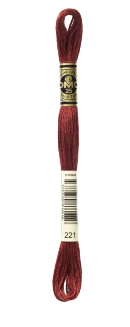 DMC-Six Strand Embroidery Floss-221-8m/8.7y #221