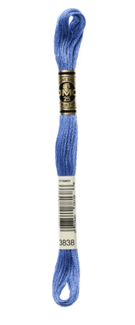 DMC-Six Strand Embroidery Floss-3838-8m/8.7y #3838