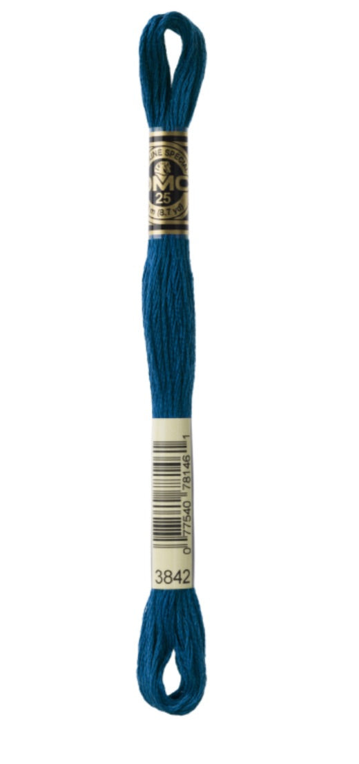 DMC-Six Strand Embroidery Floss-3842-8m/8.7y #3842