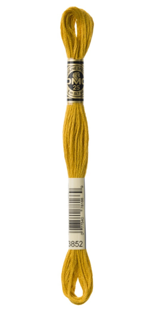 DMC-Six Strand Embroidery Floss-3852-8m/8.7y #3852