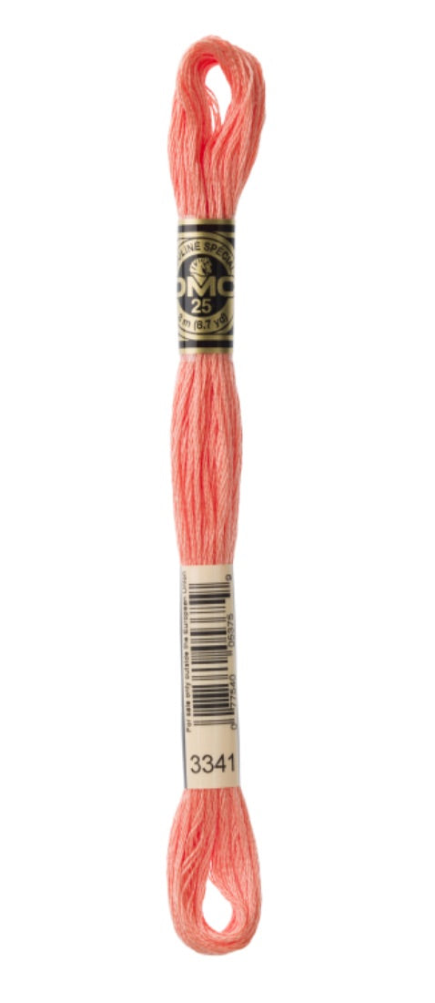 DMC-Six Strand Embroidery Floss-3341-8m/8.7y #3341