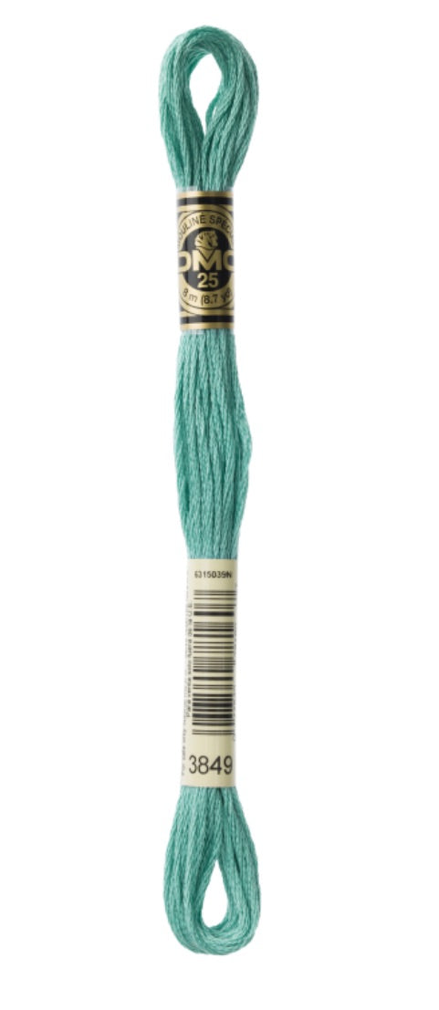 DMC-Six Strand Embroidery Floss-3849-8m/8.7y #3849