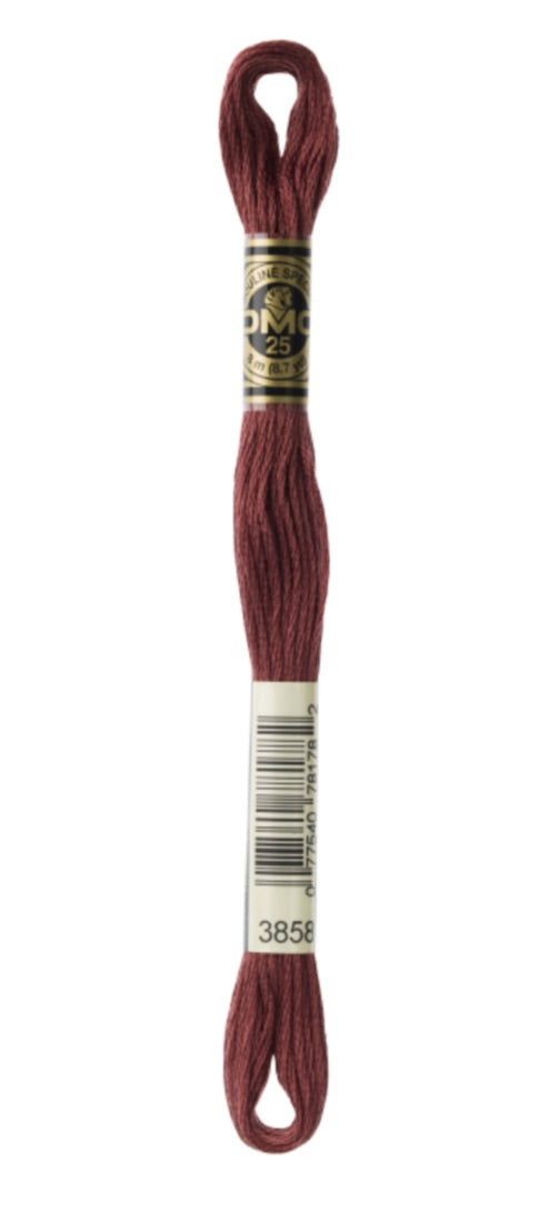 DMC-Six Strand Embroidery Floss-3858-8m/8.7y #3858