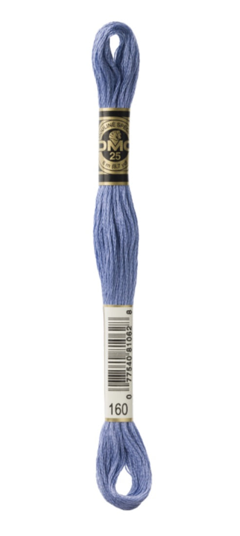 DMC-Six Strand Embroidery Floss-160-8m/8.7y #160