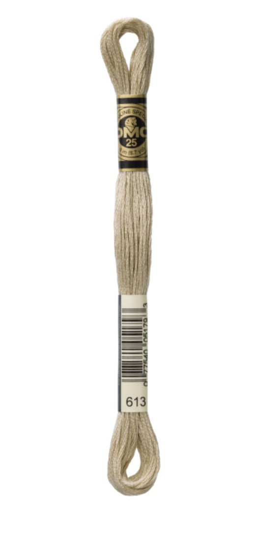 DMC-Six Strand Embroidery Floss-613-8m/8.7y #613