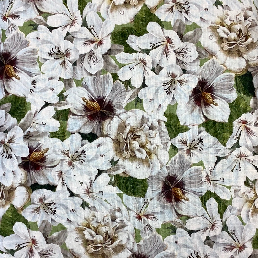 Northcott-Covent Garden-White Multi-White Flowers