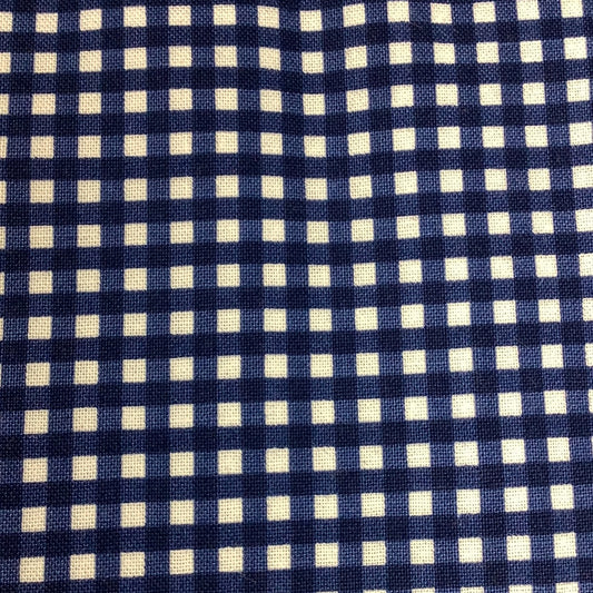 Riley Blake Designs-Small Gingham