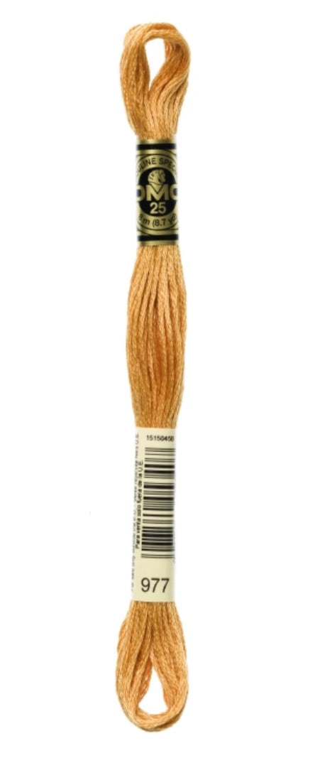 DMC-Six Strand Embroidery Floss-977-8m/8.7y #977