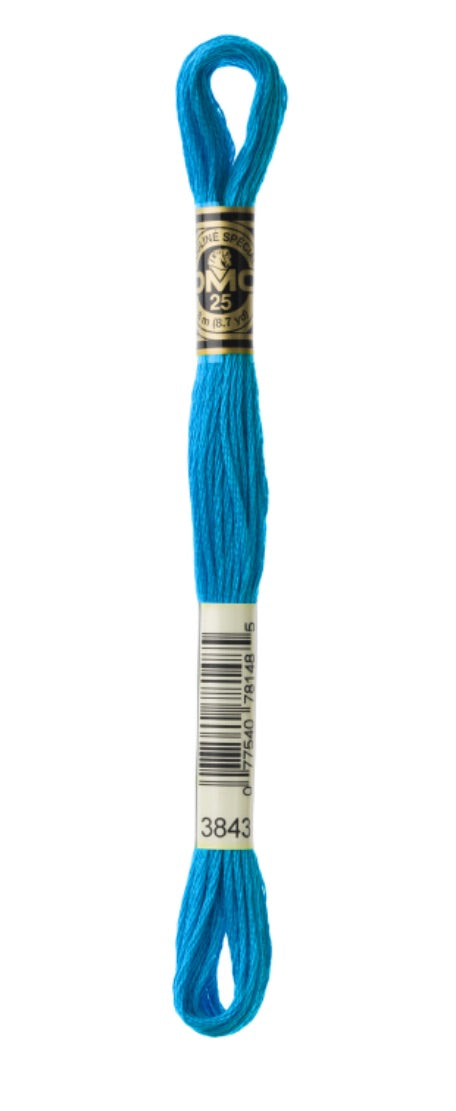 DMC-Six Strand Embroidery Floss-3843-8m/8.7y #3843